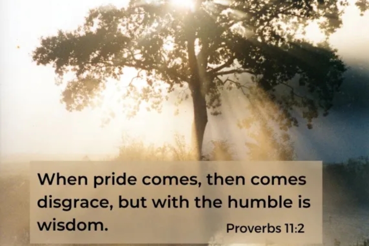 Consequences for the Proud in Proverbs