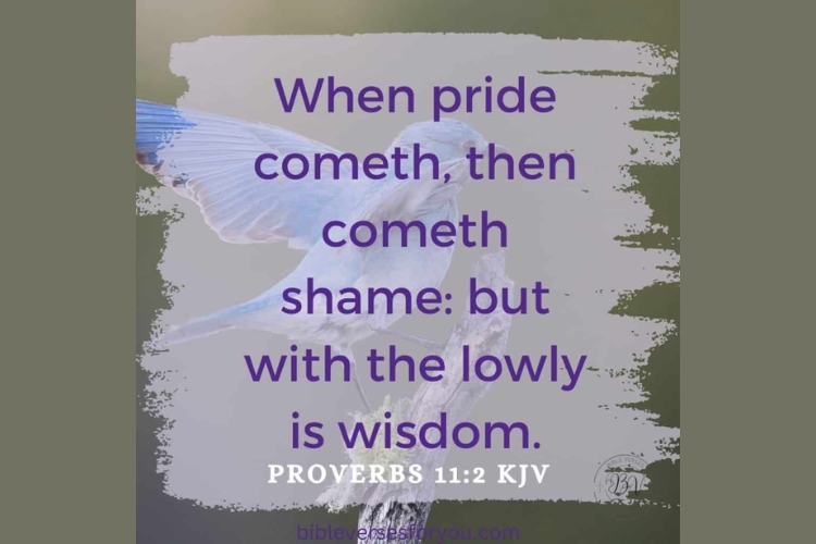 Old testament on Pride in Bible - what is the meaning of the pride in the bible?