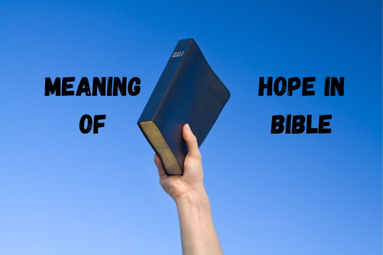 what is the meaning of hope in the bible