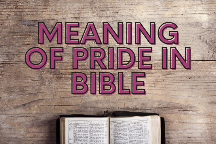 what is the meaning pride in the bible?