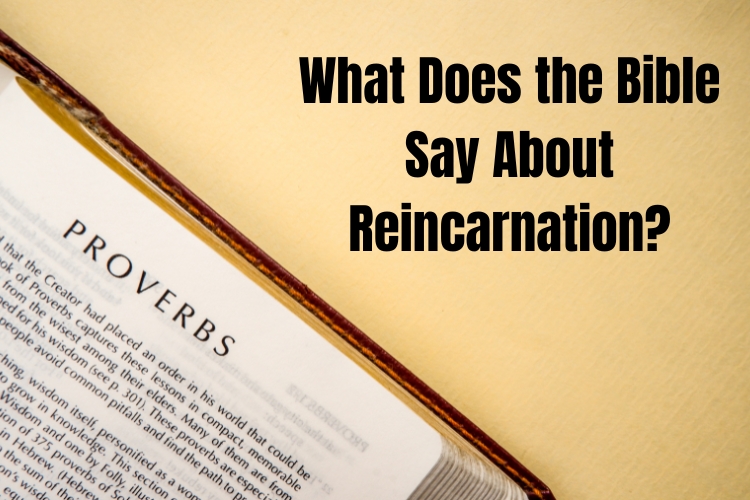 The Cycle of Souls: What Does the Bible Say About Reincarnation?