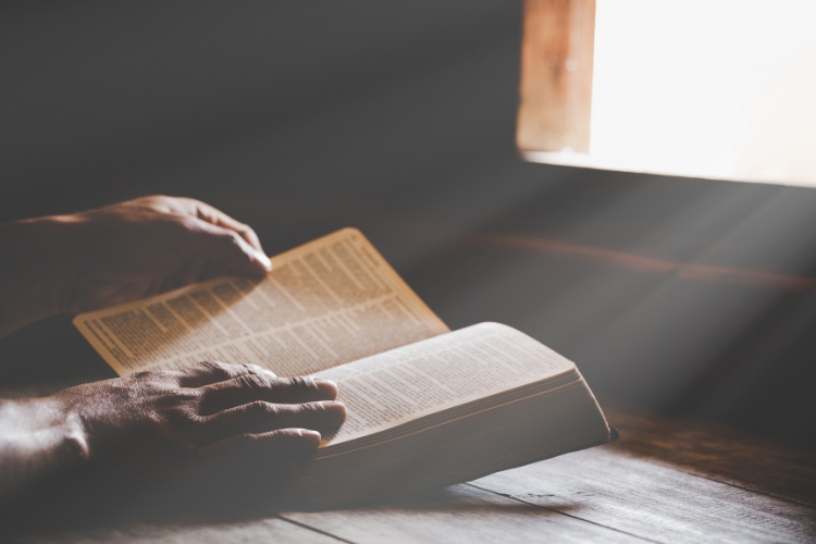 light coming from window & boy reading a book