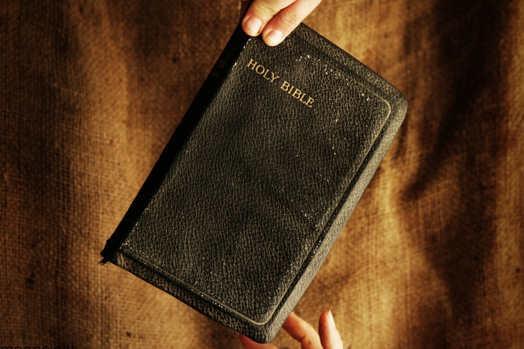 holy bible