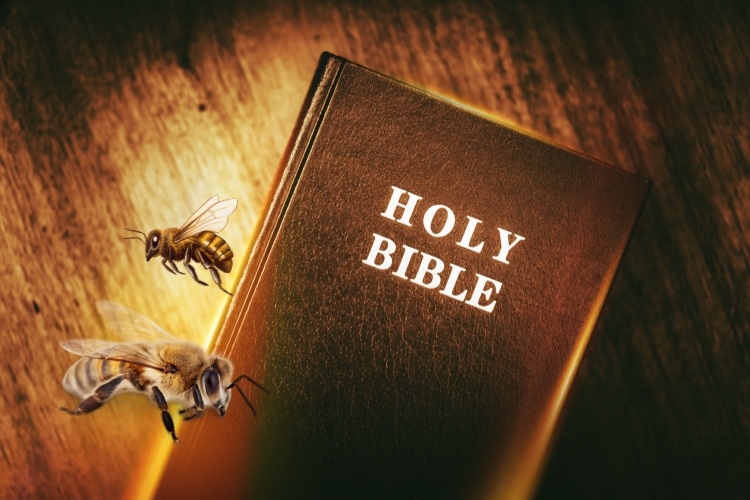 bees on bible focus