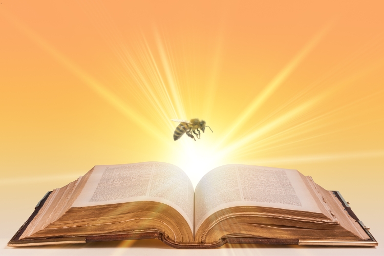 bible and bee focus