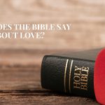 holly bible and heart focus