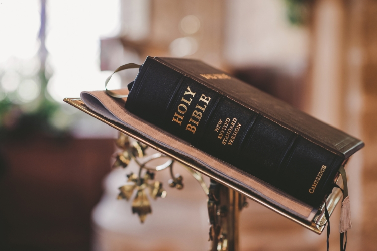 holly bible focus