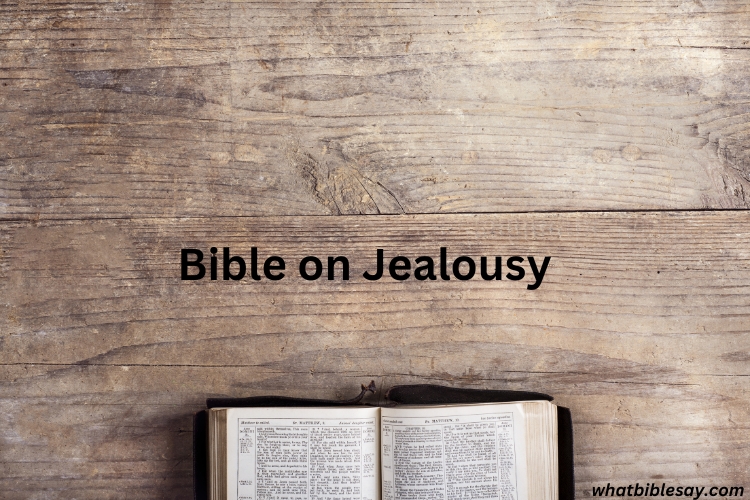 Bible on Jealousy