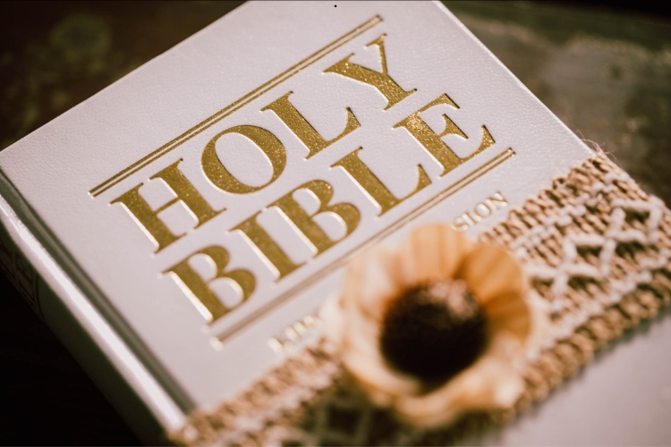 bible focus